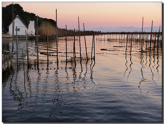 albufera